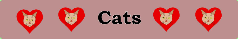Cats page name image